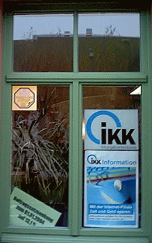einfl&uuml;gliges Fenster